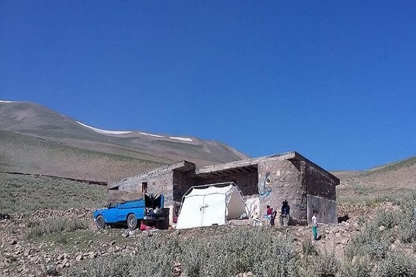 پناهگاه‌هایی که اسطبل شده اند