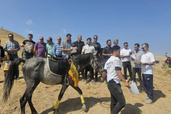 برگزاری همایش سوارکاری در مراغه